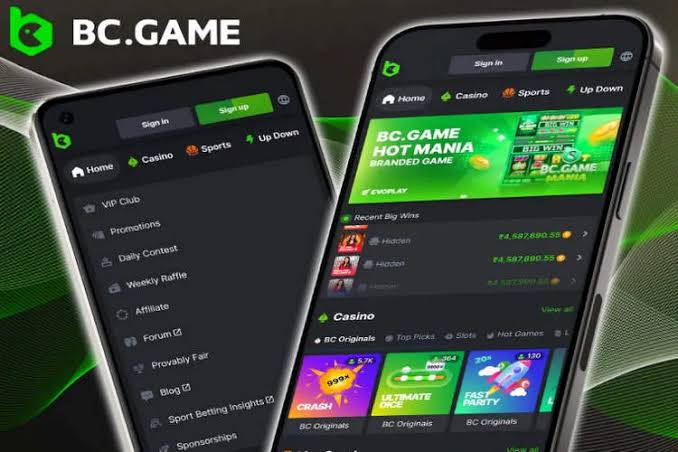 Exploring BC.Game The Rise of Online Gaming in Mexico