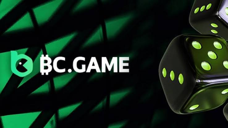 Exploring the BC.Game Gambling Platform A New Era of Online Gaming